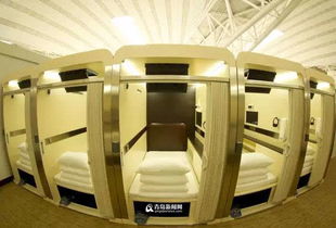 跟著地鐵8號(hào)線的腳步去逛吃