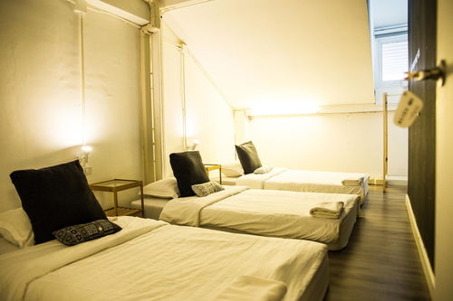 清邁two gals and the pig精品旅館 two gals and the pig boutique hostel agoda