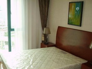 圖 周邊大商圈,生活方便,服務(wù)到位,隨看隨住采光好 上海租房