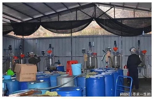 農(nóng)村夫婦家中有8000萬現(xiàn)金巨款,竟然還住破磚瓦房,真相如何